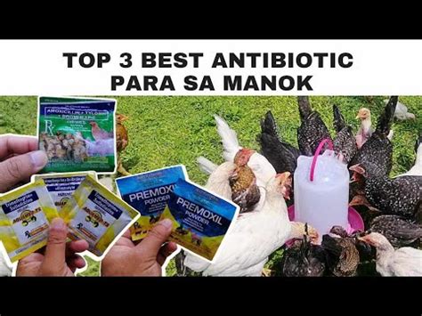 Antibiotic Para Sa Mabahong Pepe .